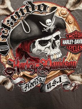 Harley-Davidson Orlando Florida Pirate Skull Graphic T-Shirt Gray Mens Size L